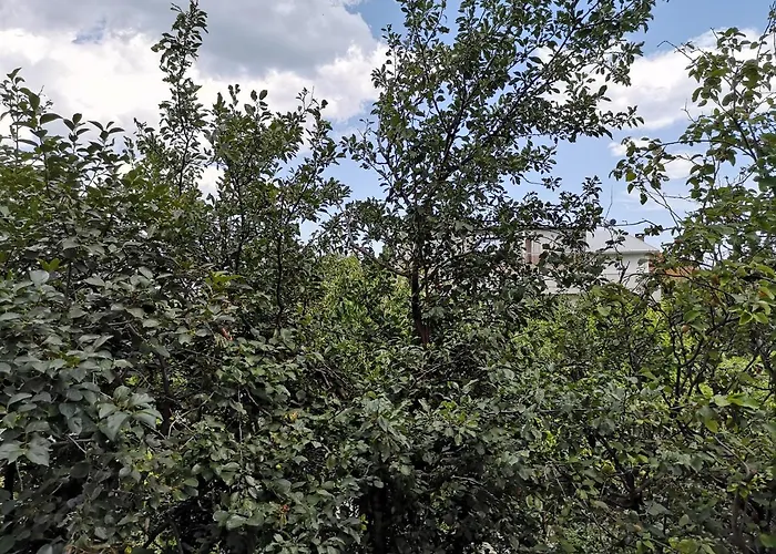 Alfa With Parking Konukevi Varna