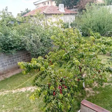 Vendégház Alfa With Parking 3*